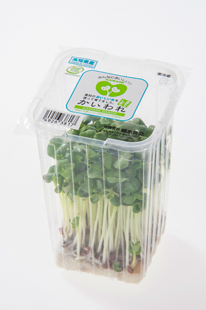 取扱商品 かいわれ大根豆苗ブロッコリースプラウトなら嶋本食品 取扱商品 かいわれ大根豆苗ブロッコリースプラウトなら嶋本食品